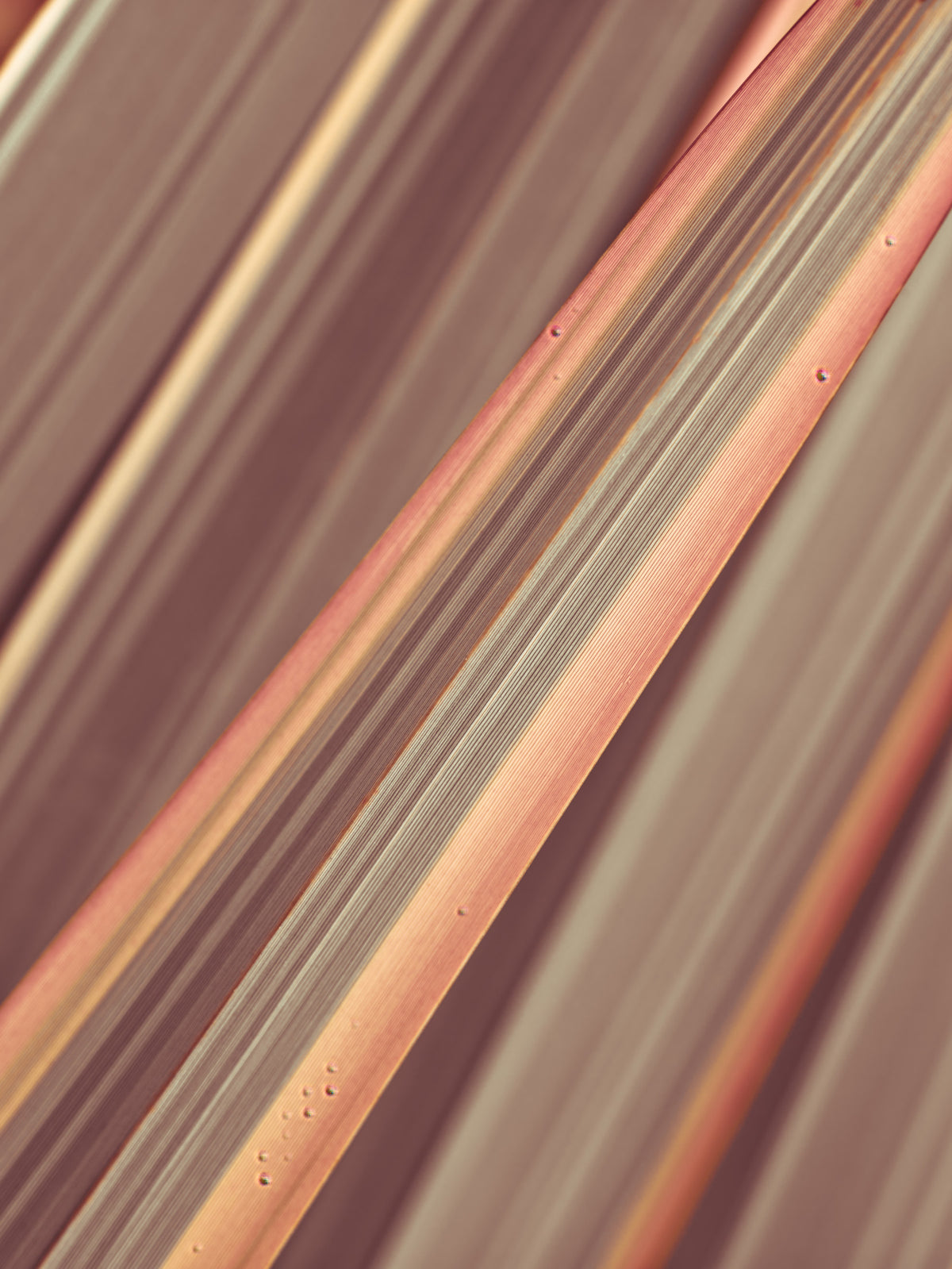 Terra Lines Wall Mural in your room — zoomed