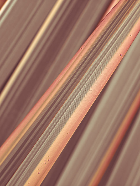 Terra Lines Wall Mural