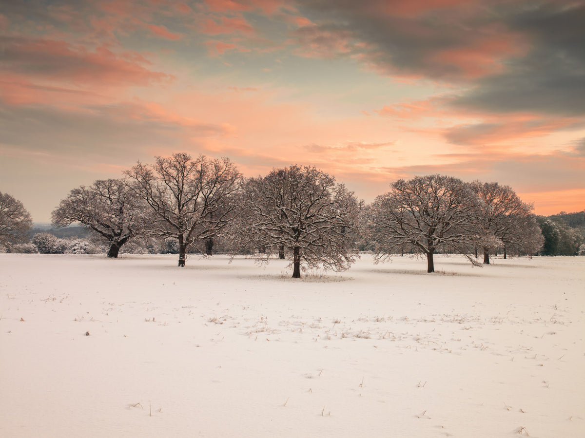 Snow Covered Field Wall Mural