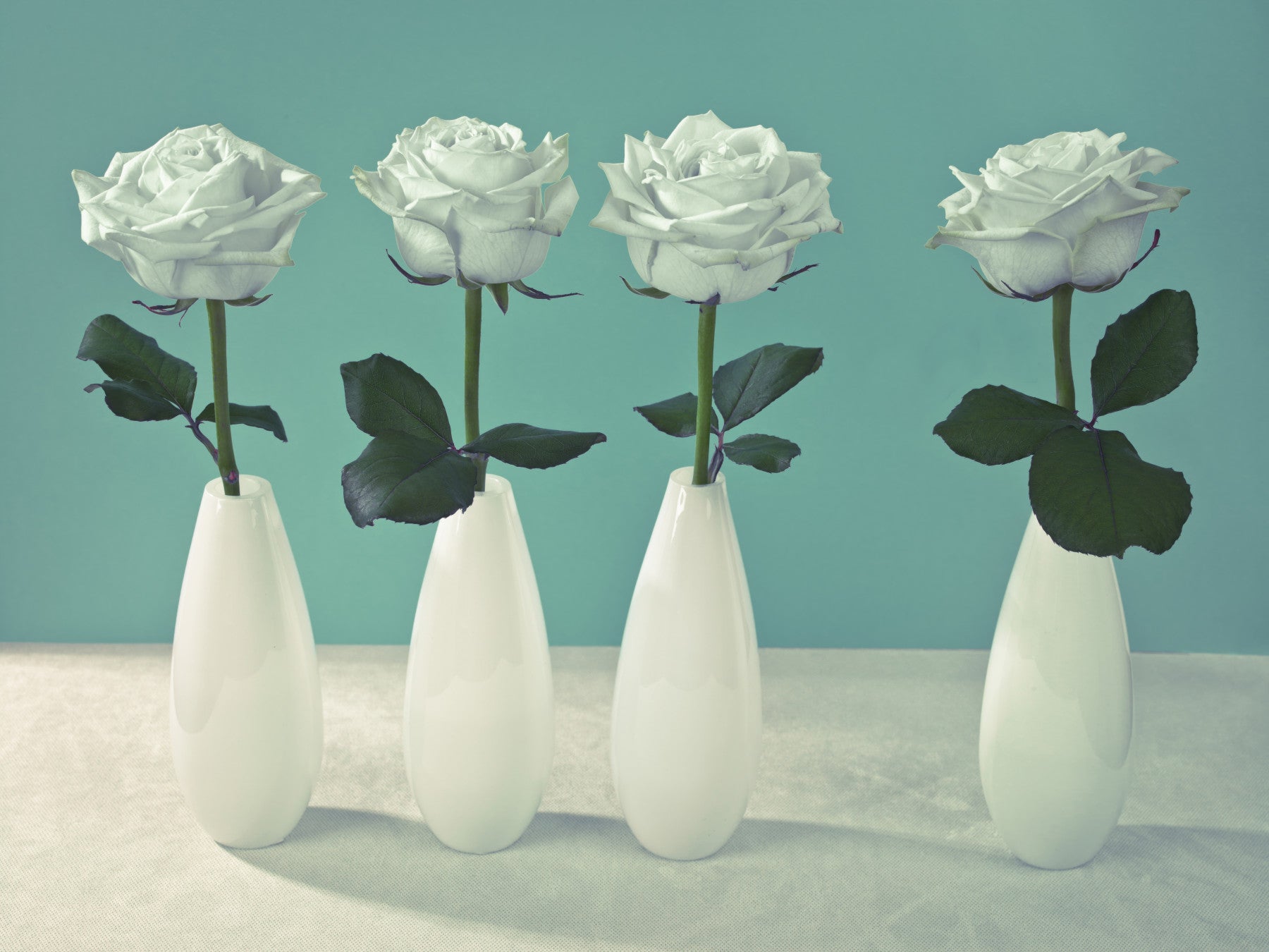Floral Quartet Wall Mural