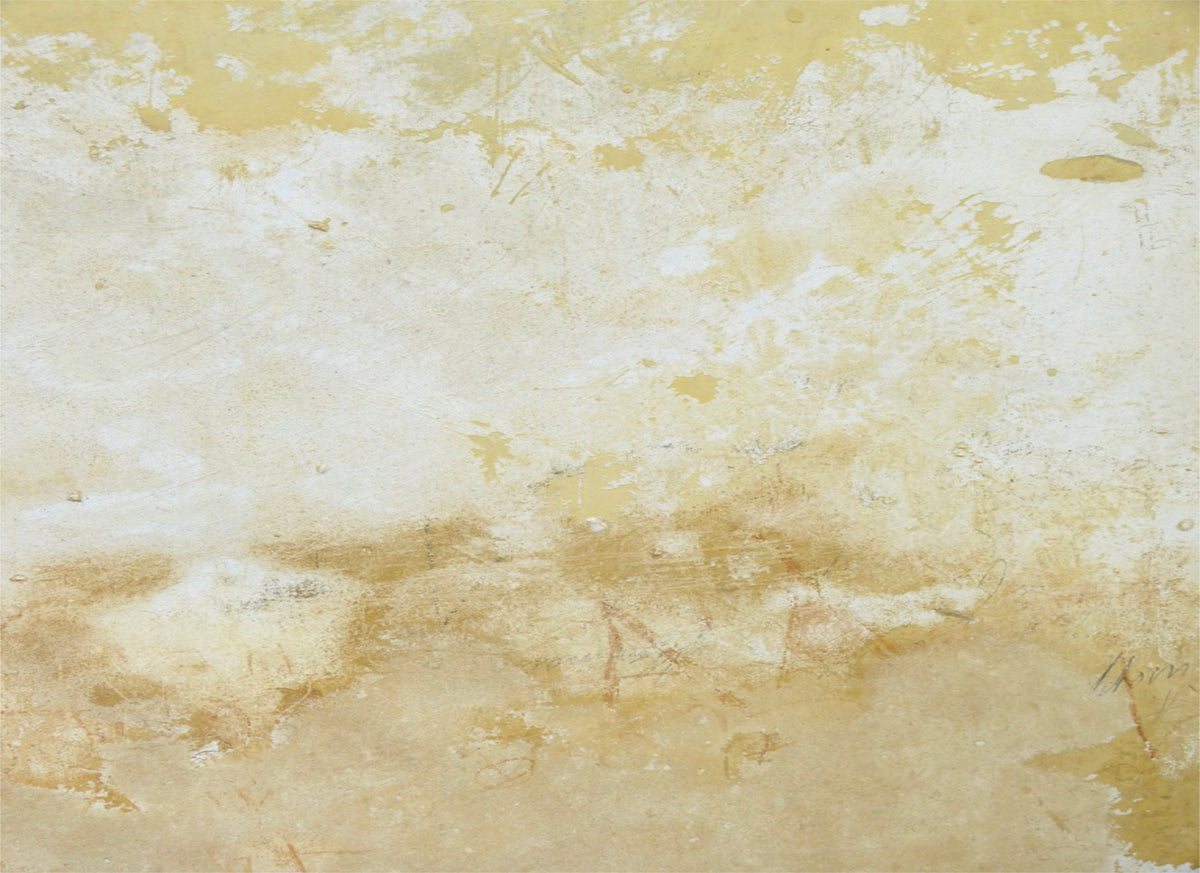 Tuscan Texture Wall Mural