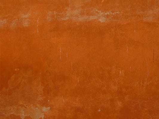 Roman Sall Wall Mural