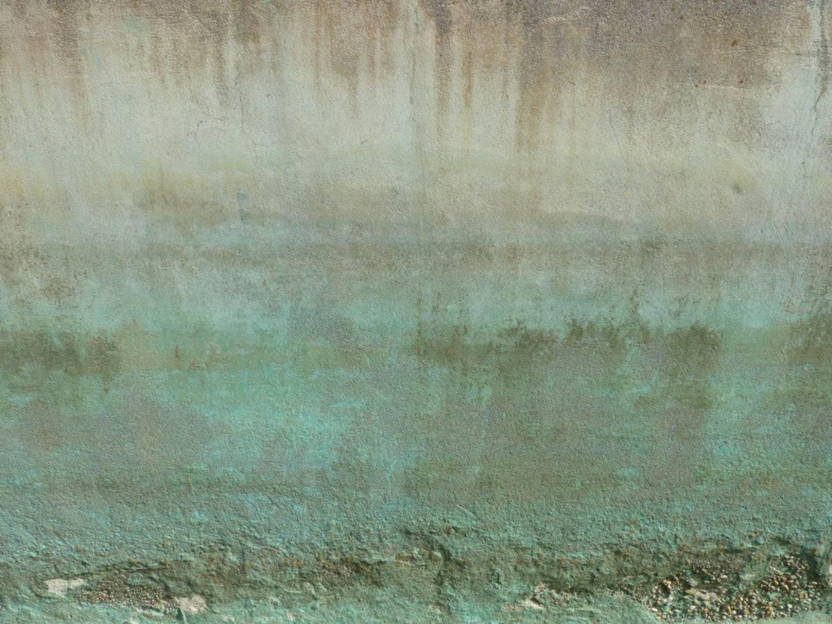 Oxidized Wall Art Wall Mural in your room — zoomed