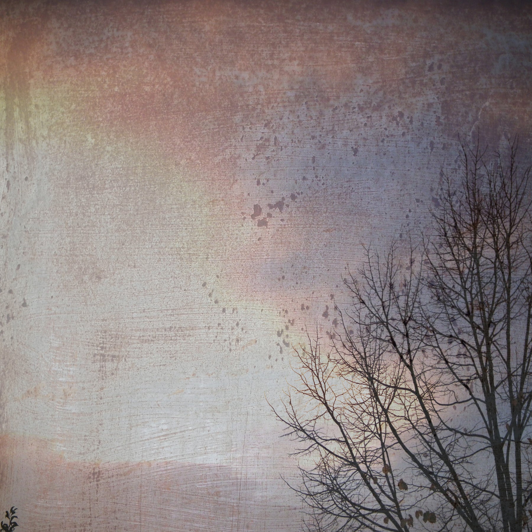 Winter Day Wall Mural