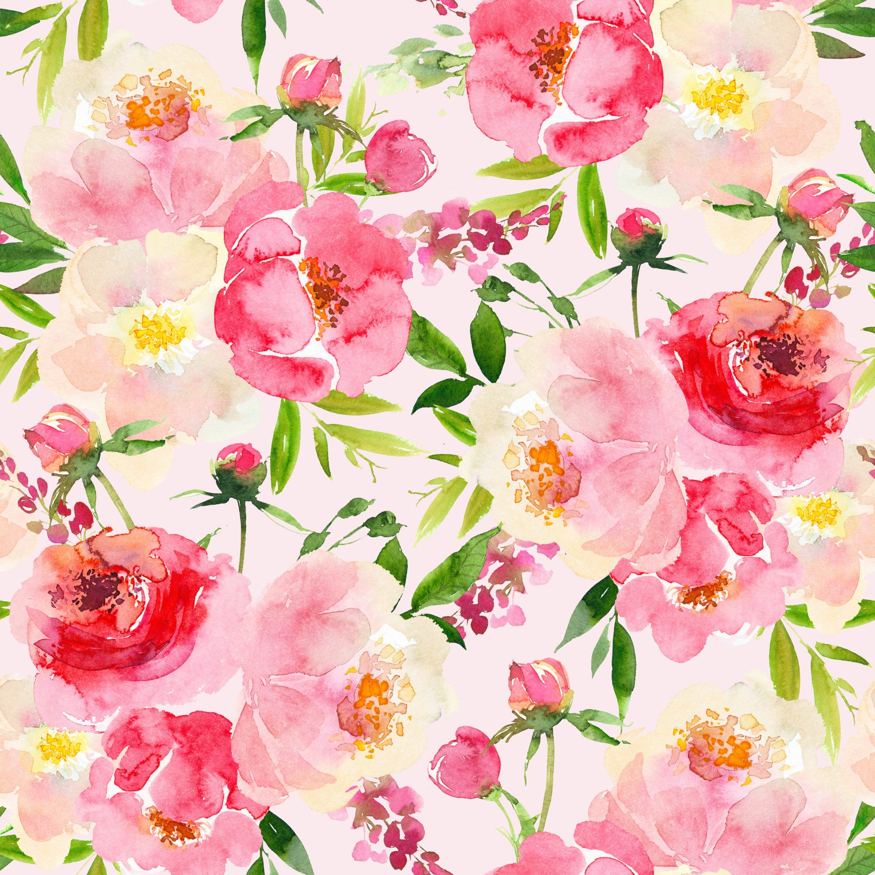 Blush Bloom Watercolor Wallpaper⁠