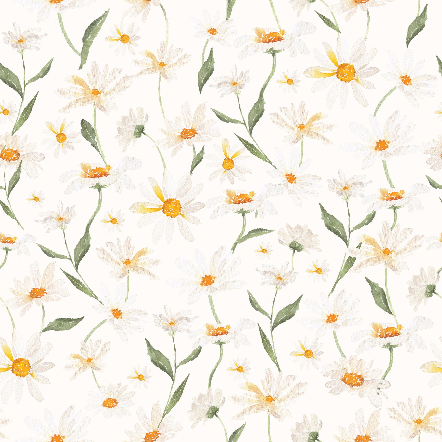 Daisy Dreams Wallpaper⁠