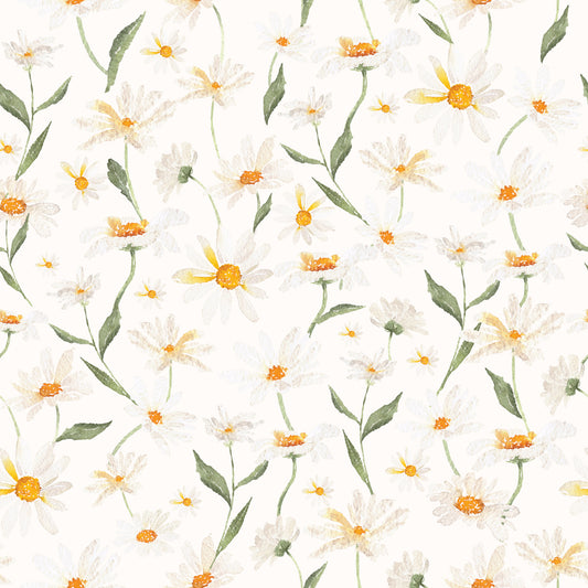 Daisy Dreams Wallpaper⁠