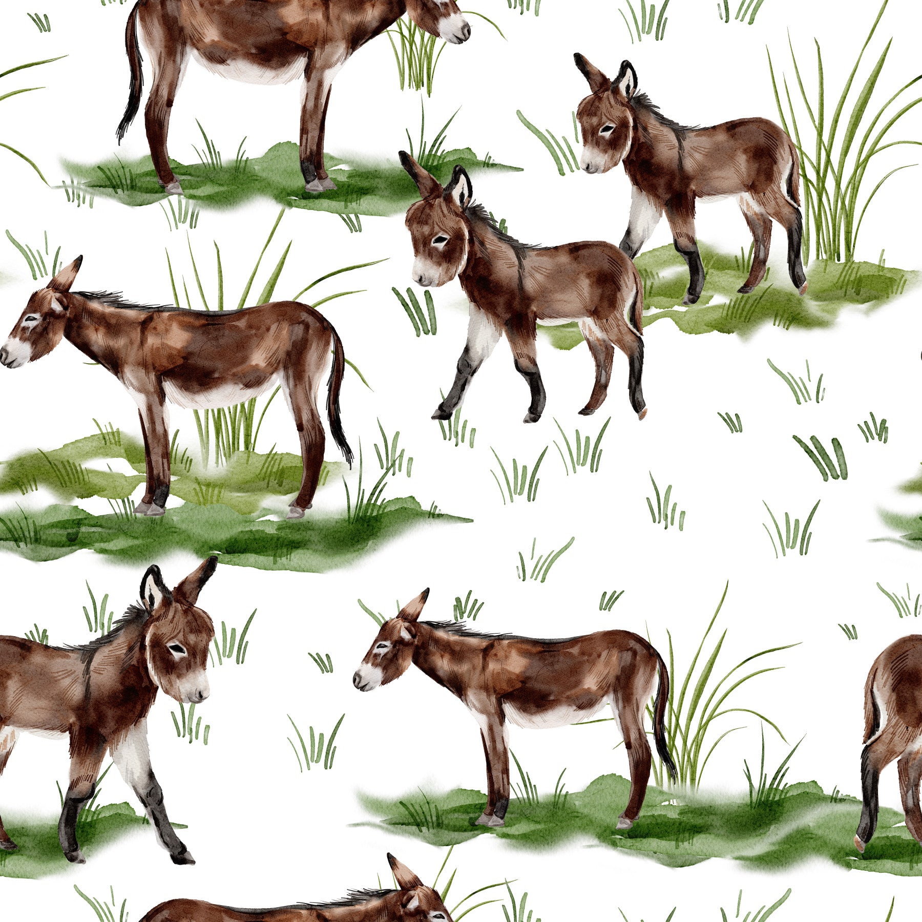 Watercolor Donkeys Wallpaper⁠