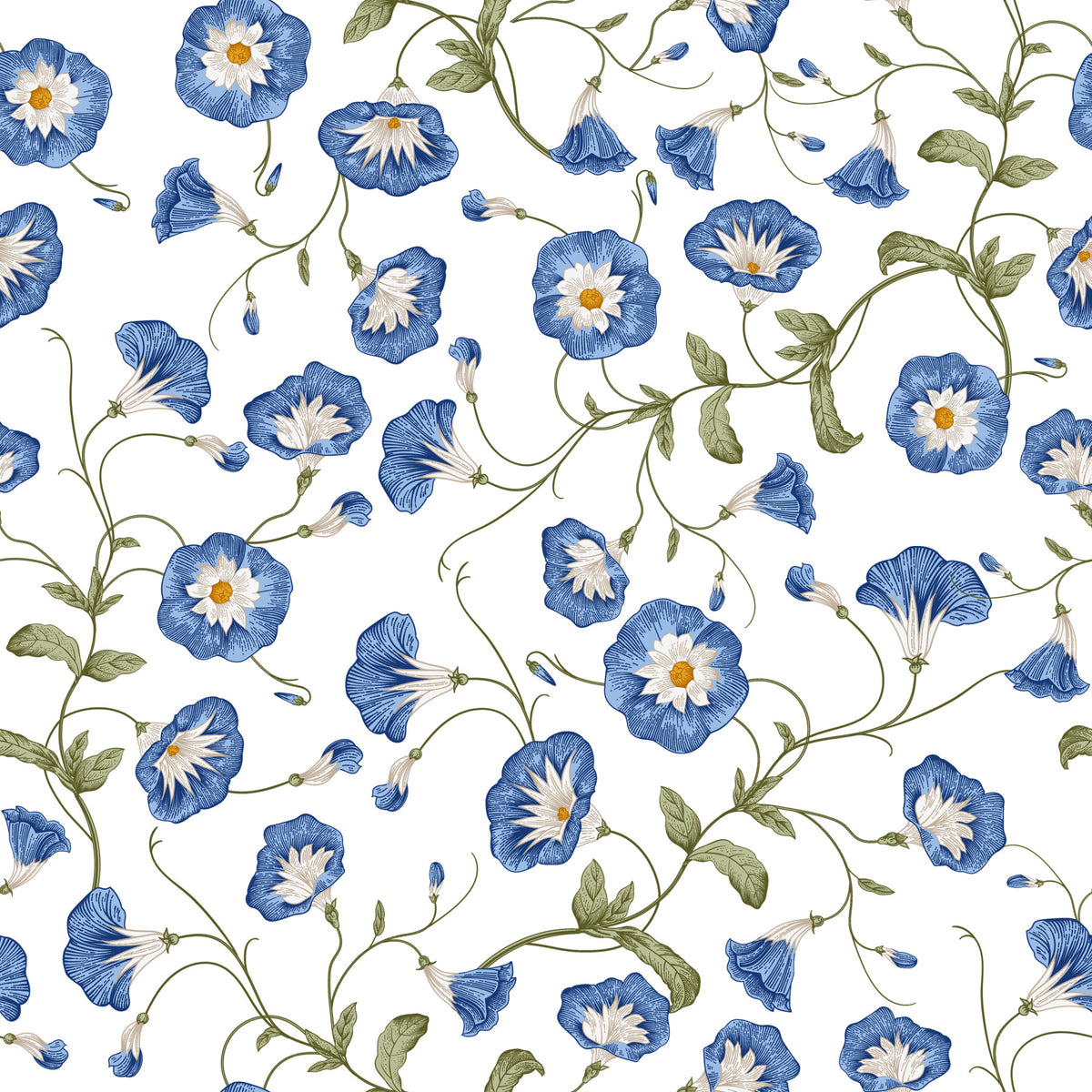 Morning Glory  Wallpaper⁠ in your room — zoomed