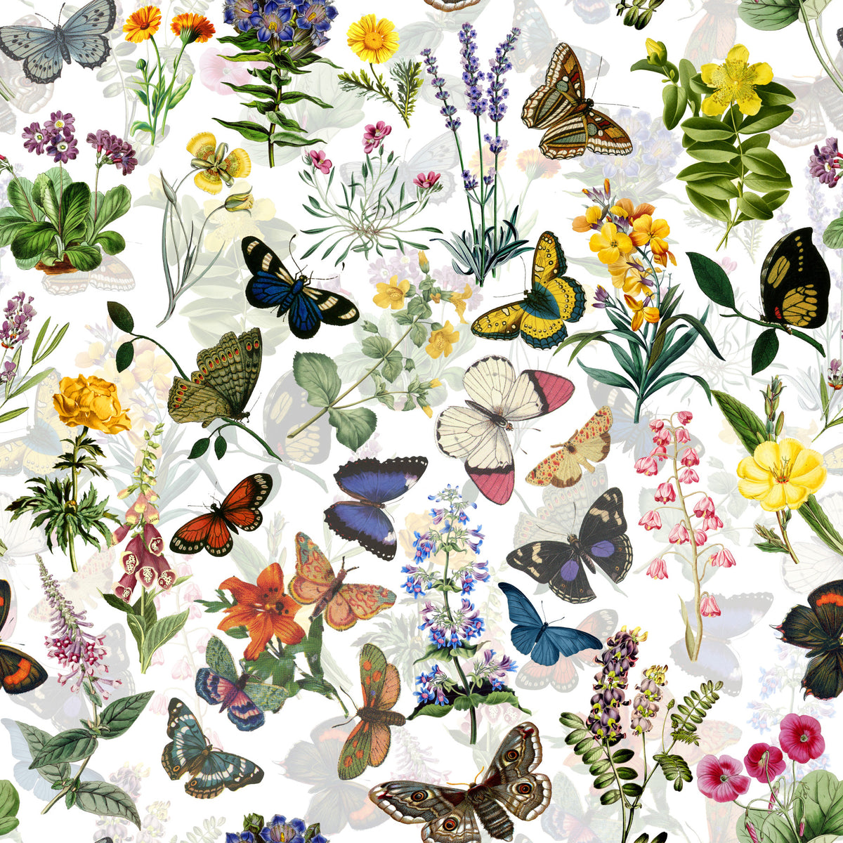 Fluttering Blooms Wallpaper⁠