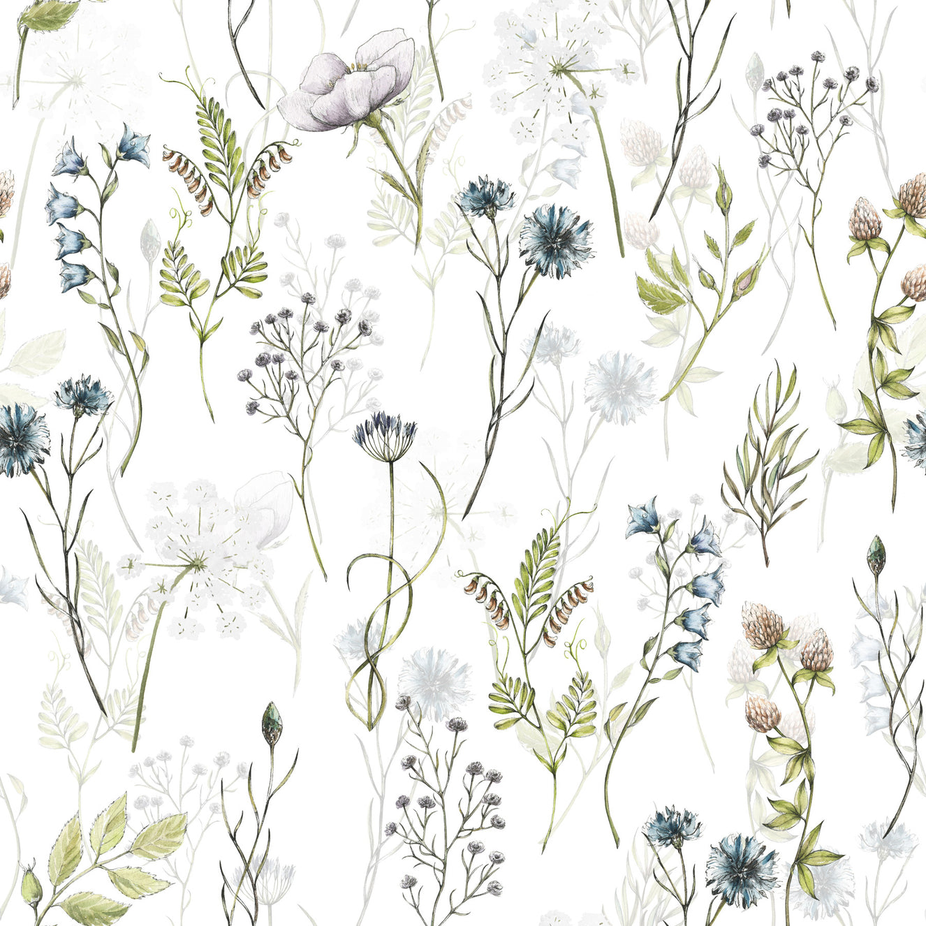 Painted Watercolor Meadow Blooms Wallpaper⁠