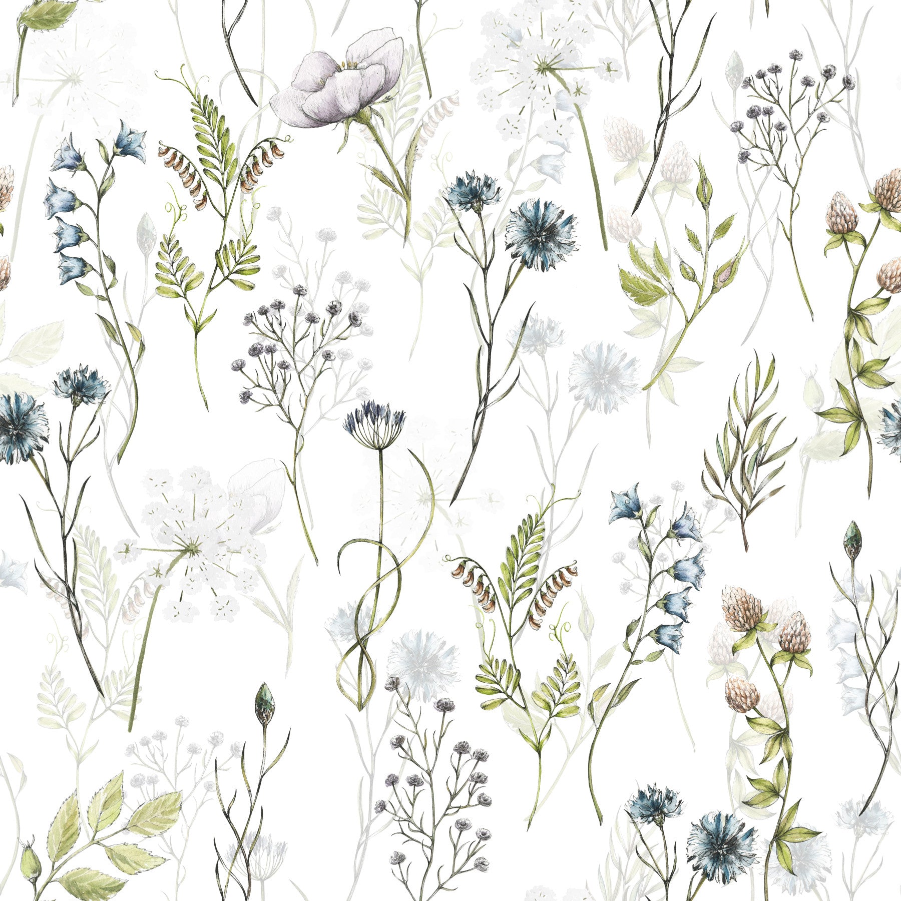 Painted Watercolor Meadow Blooms Wallpaper⁠