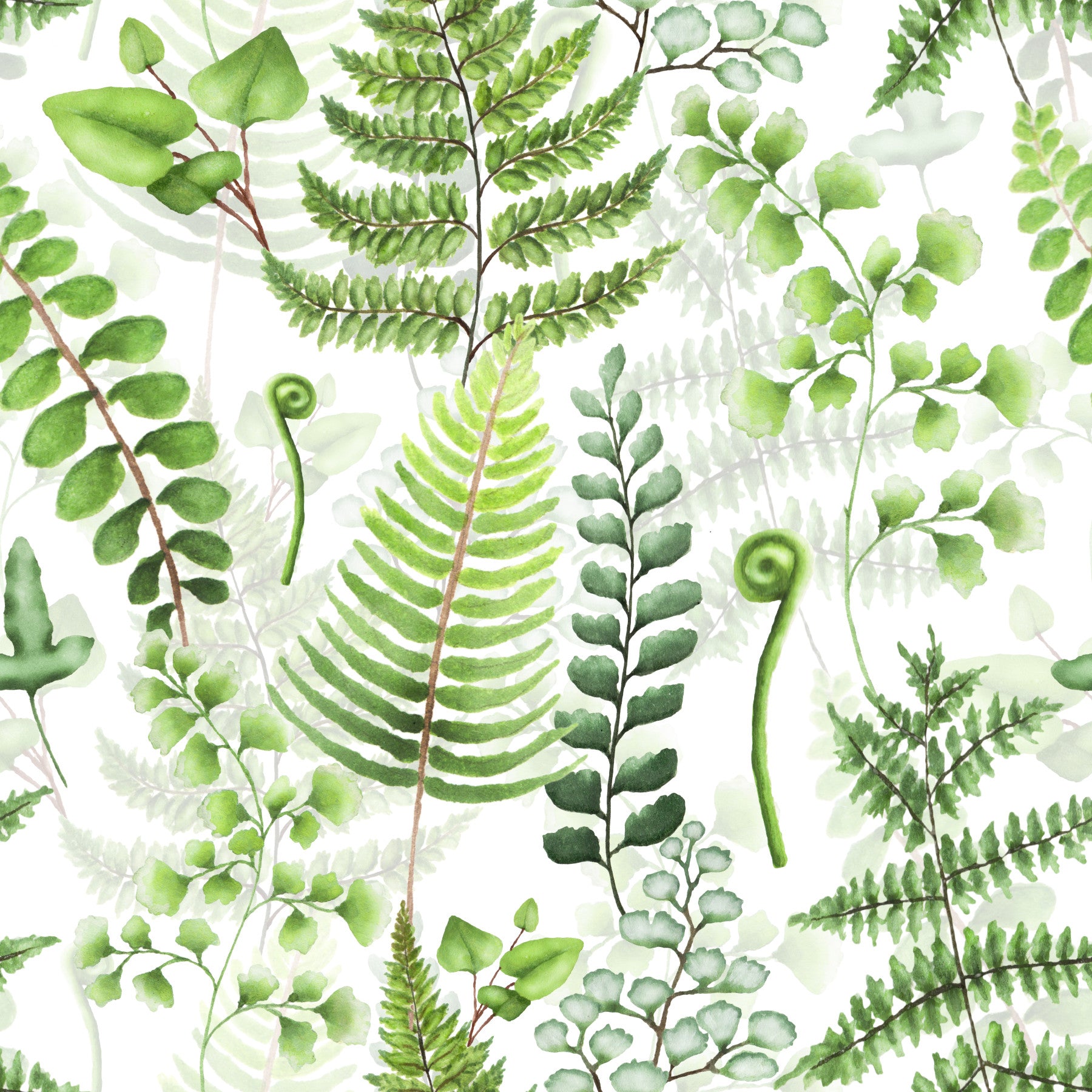 Fern Fantasy Wallpaper⁠