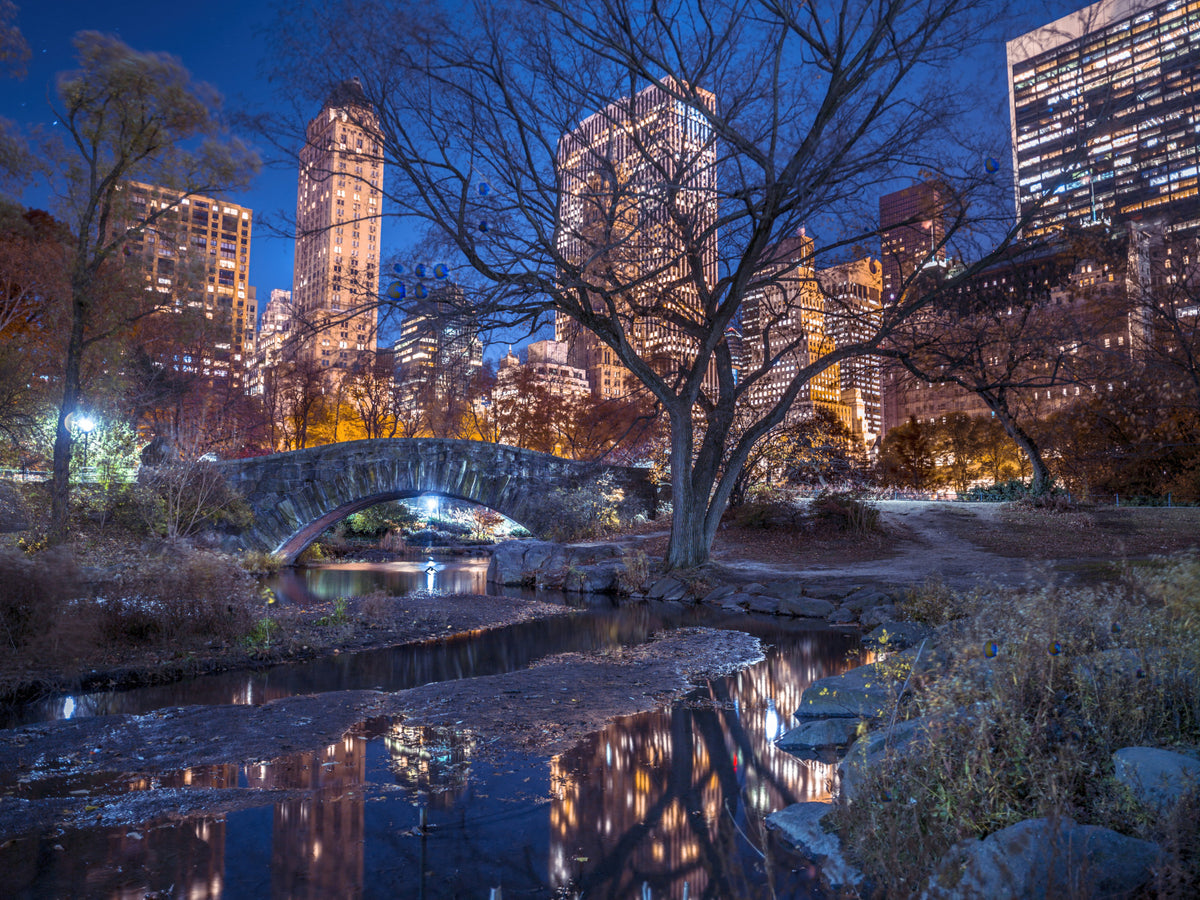 Central Park at Night Wall Mural