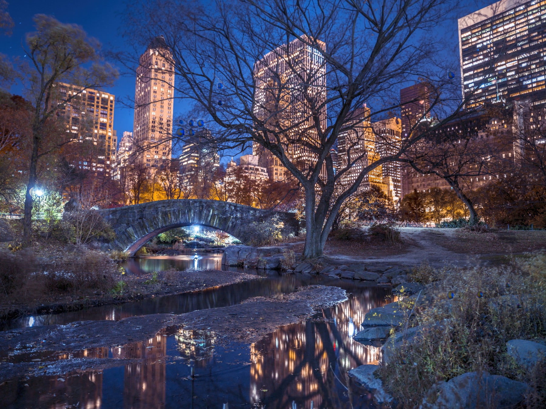 Central Park at Night Wall Mural