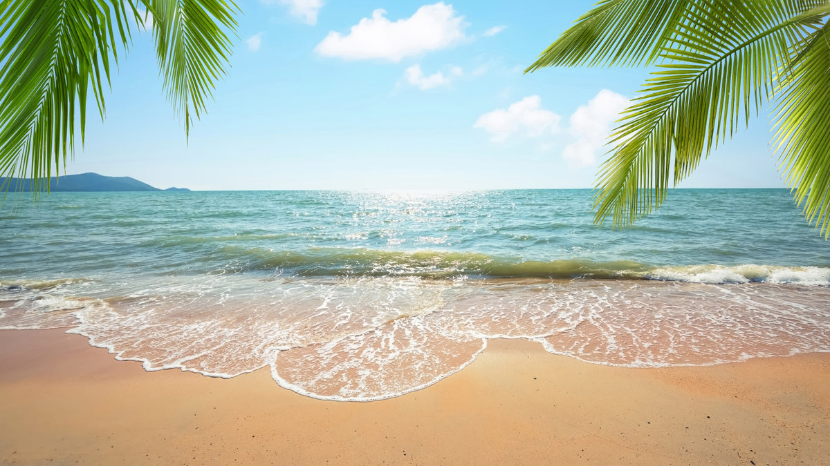 Beachside Bliss Wall Mural in your room — zoomed