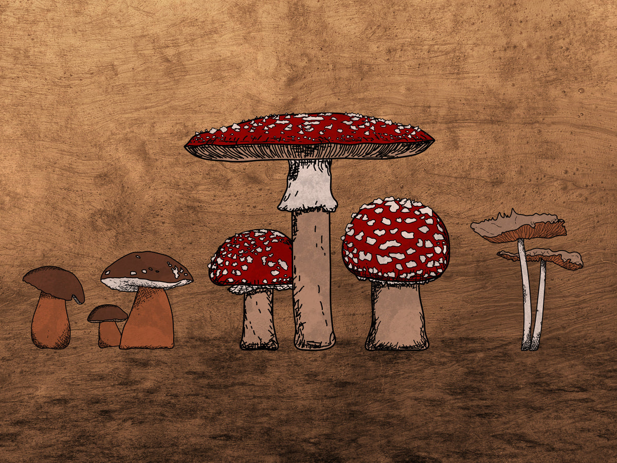 Ancient Mushrooms Wall Mural
