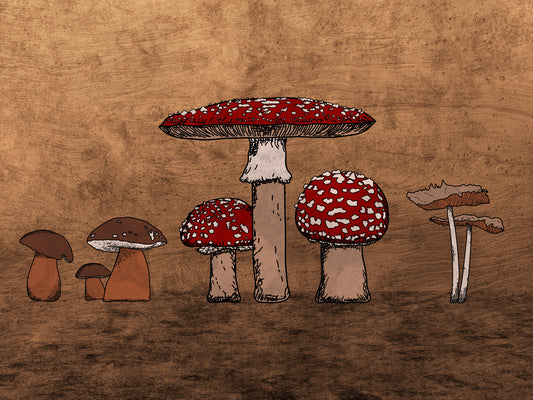 Ancient Mushrooms Wall Mural
