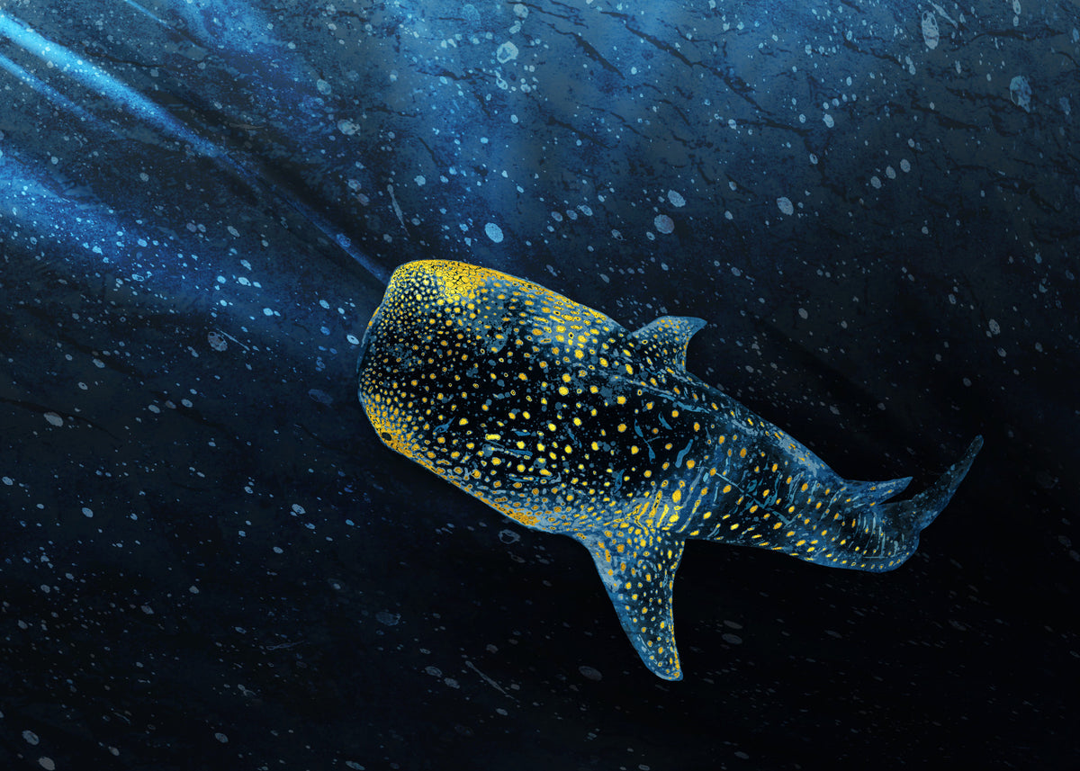 Golden Whale Shark Wall Mural