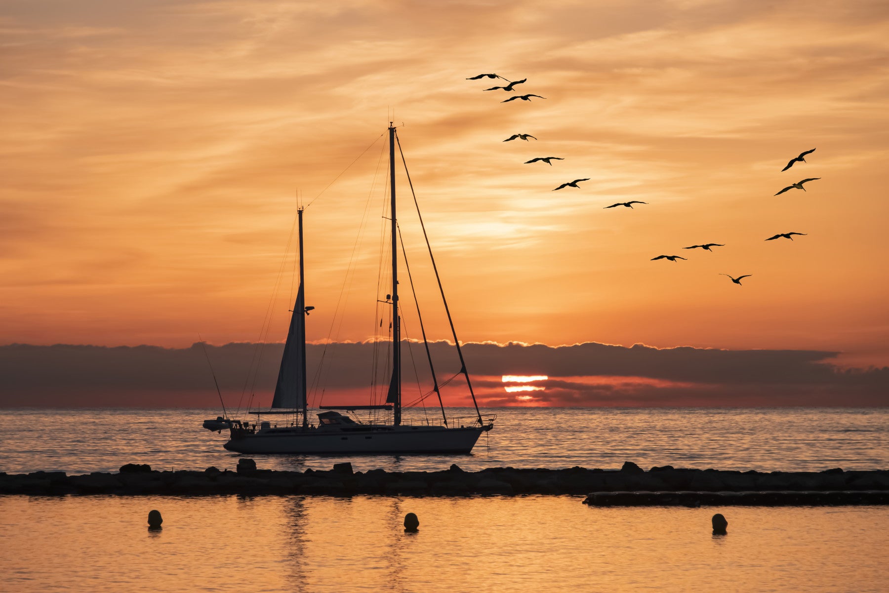Golden Horizon Wall Mural
