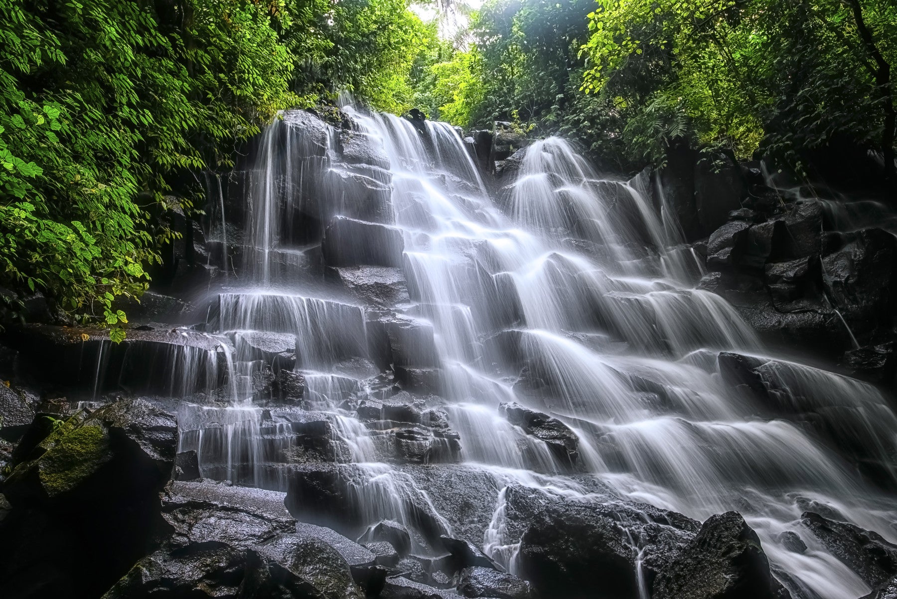 Cascading Serenity Wall Mural