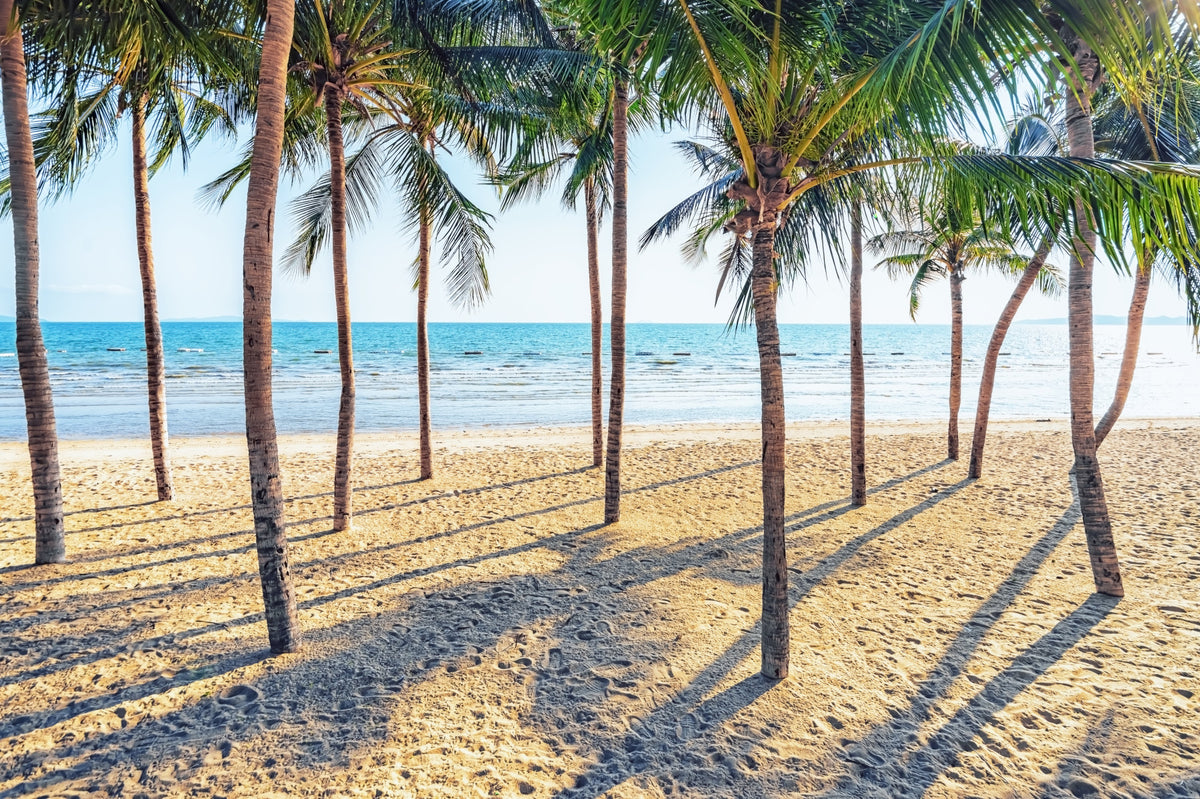 Beach Palm Paradise Wall Mural in your room — zoomed