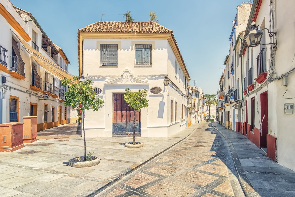 Spanish Street Charm Wall Mural