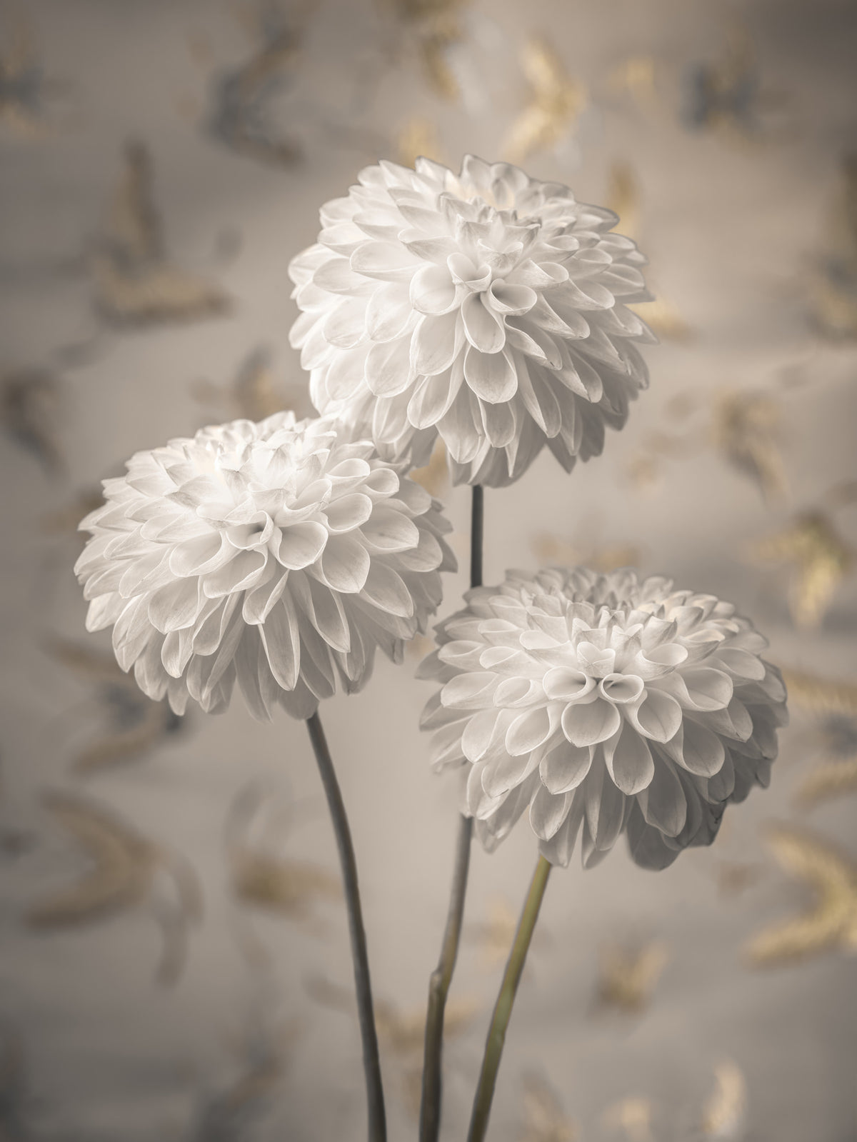 Beige Blooms Wall Mural in your room — zoomed