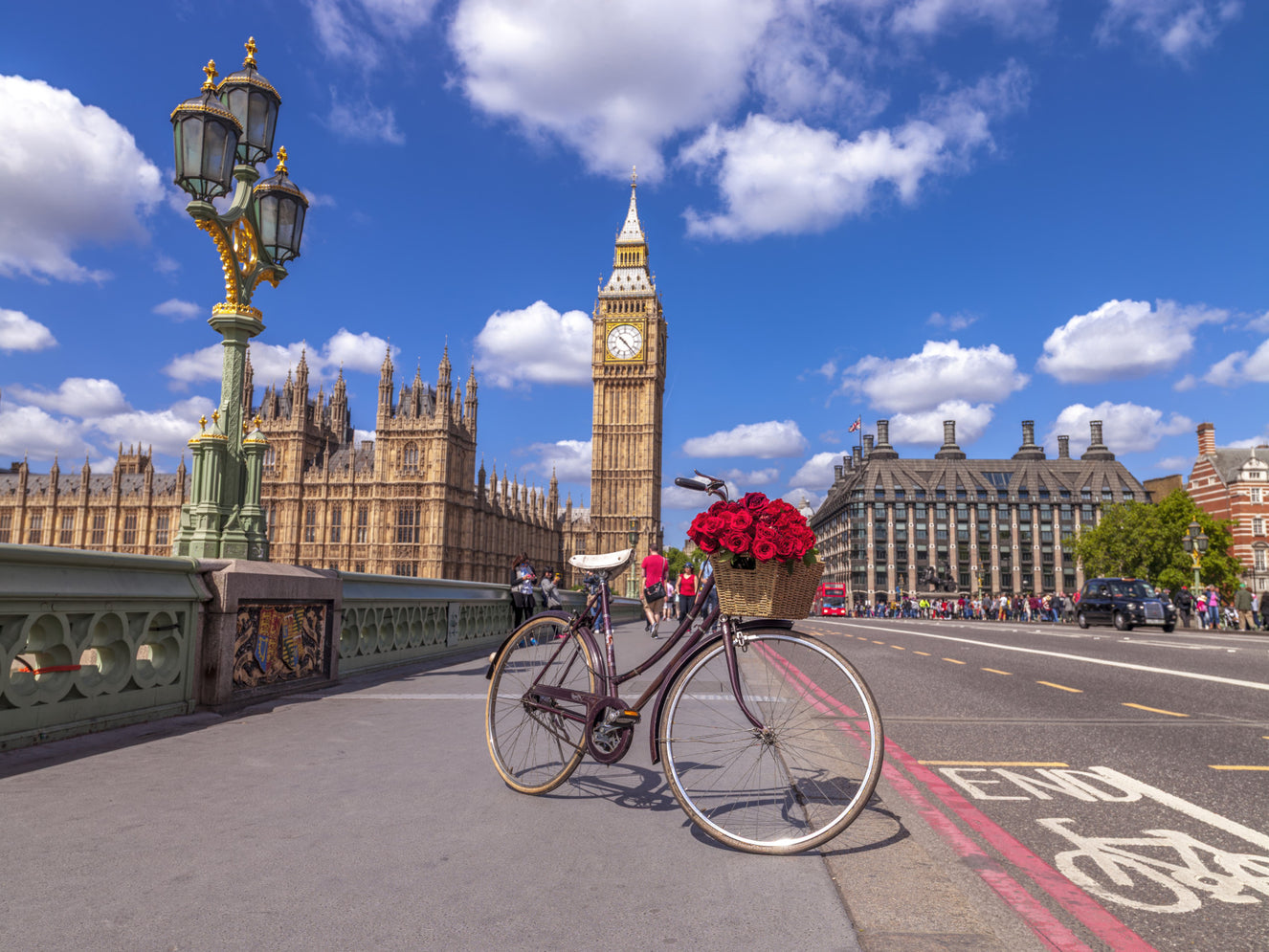 Red Blooms in London Wall Mural
