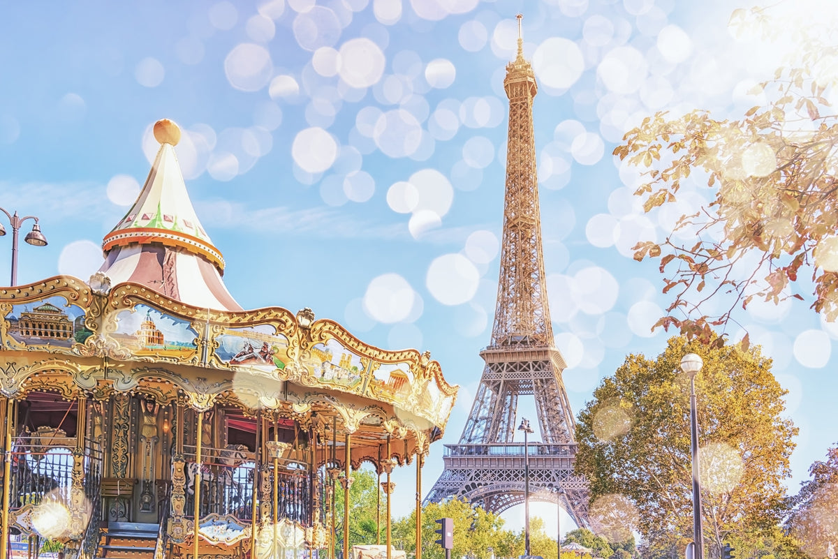 Parisian Carousel Dream Wall Mural