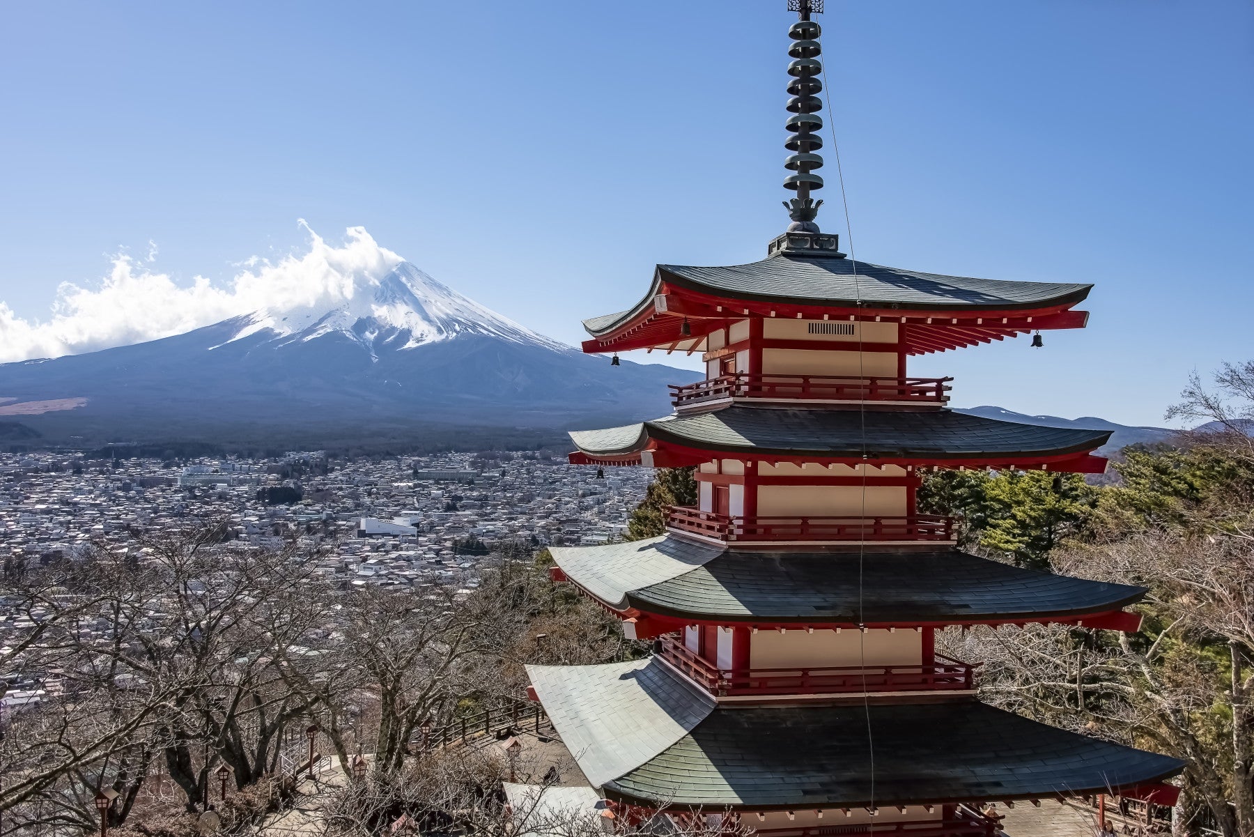 Fuji Vista Wall Mural