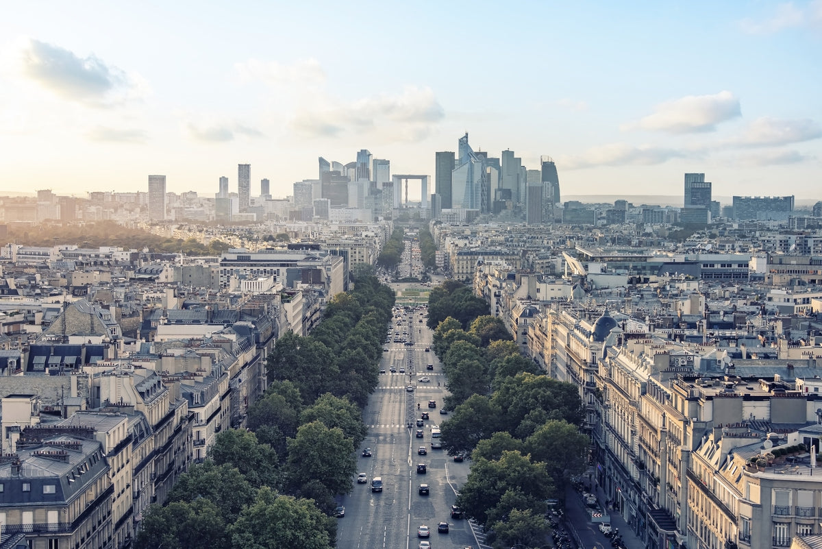 Parisian Panorama Wall Mural