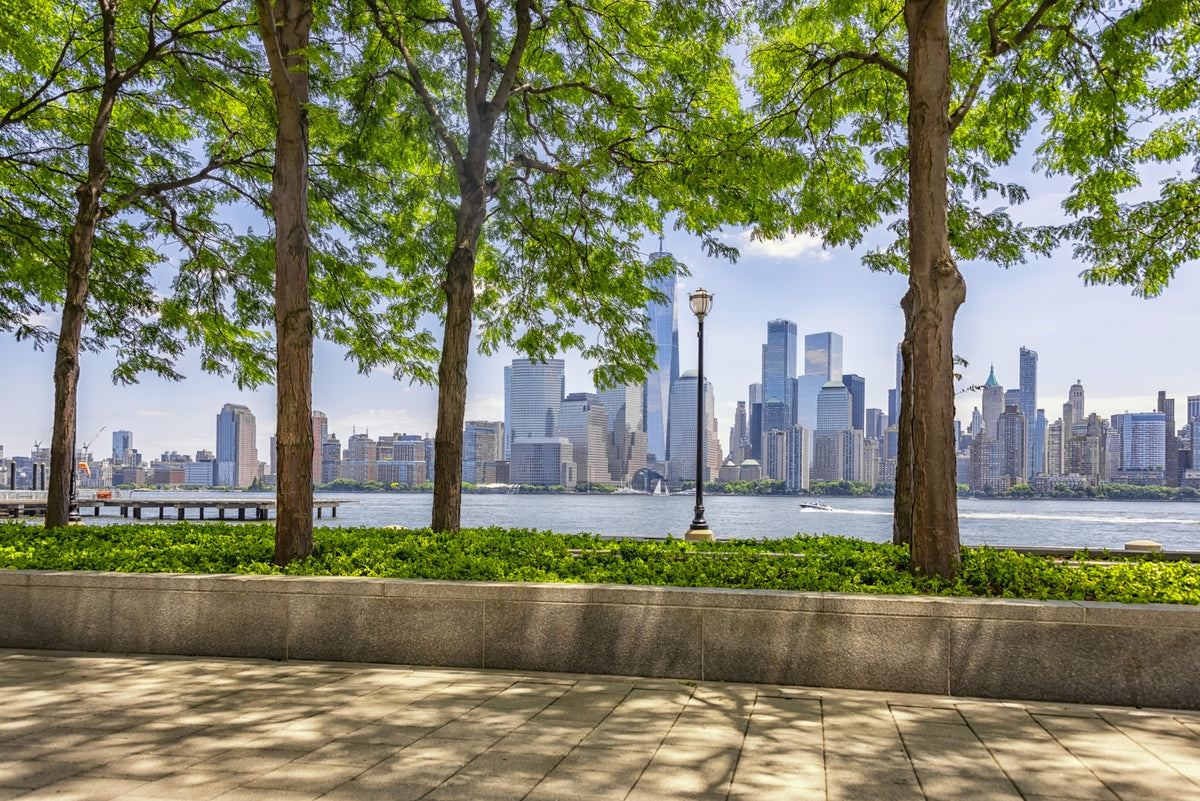 Urban Oasis View Wall Mural in your room — zoomed