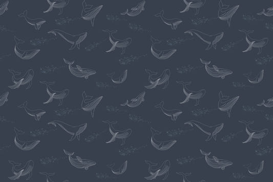 Whale Song Serenade Wall Mural