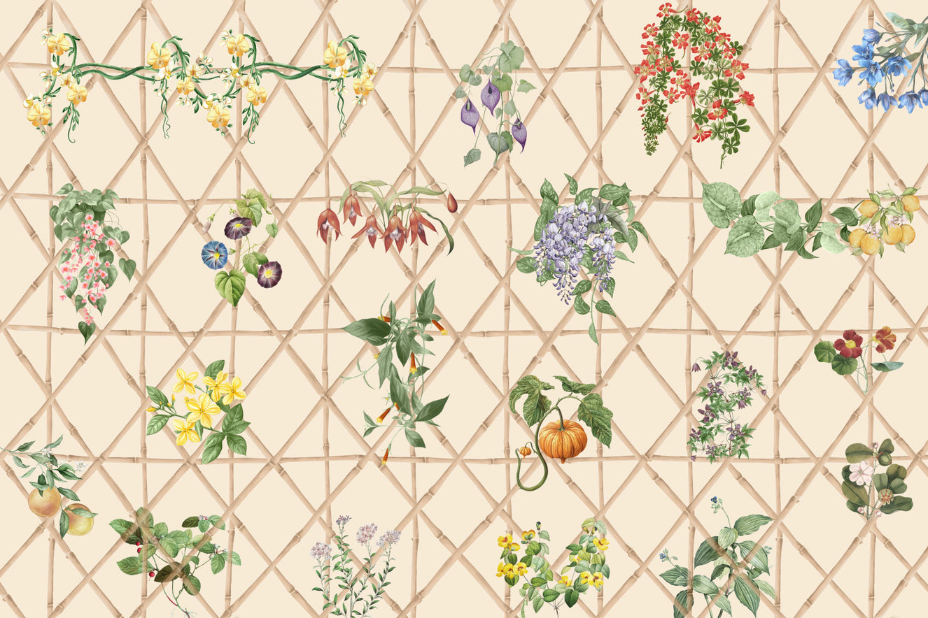 Chinoiserie Garden Wall Mural