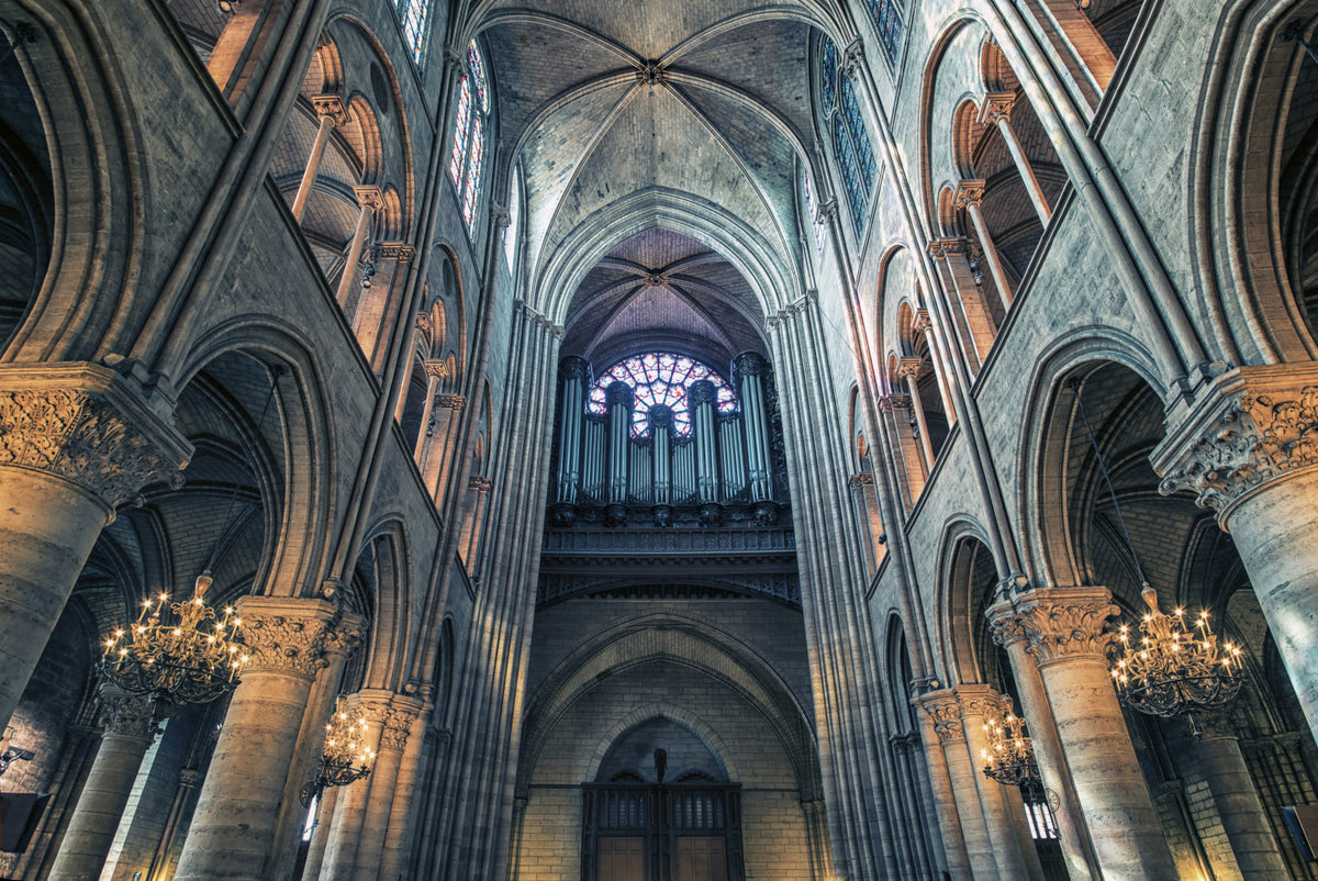 Cathedral Arches Wall Mural