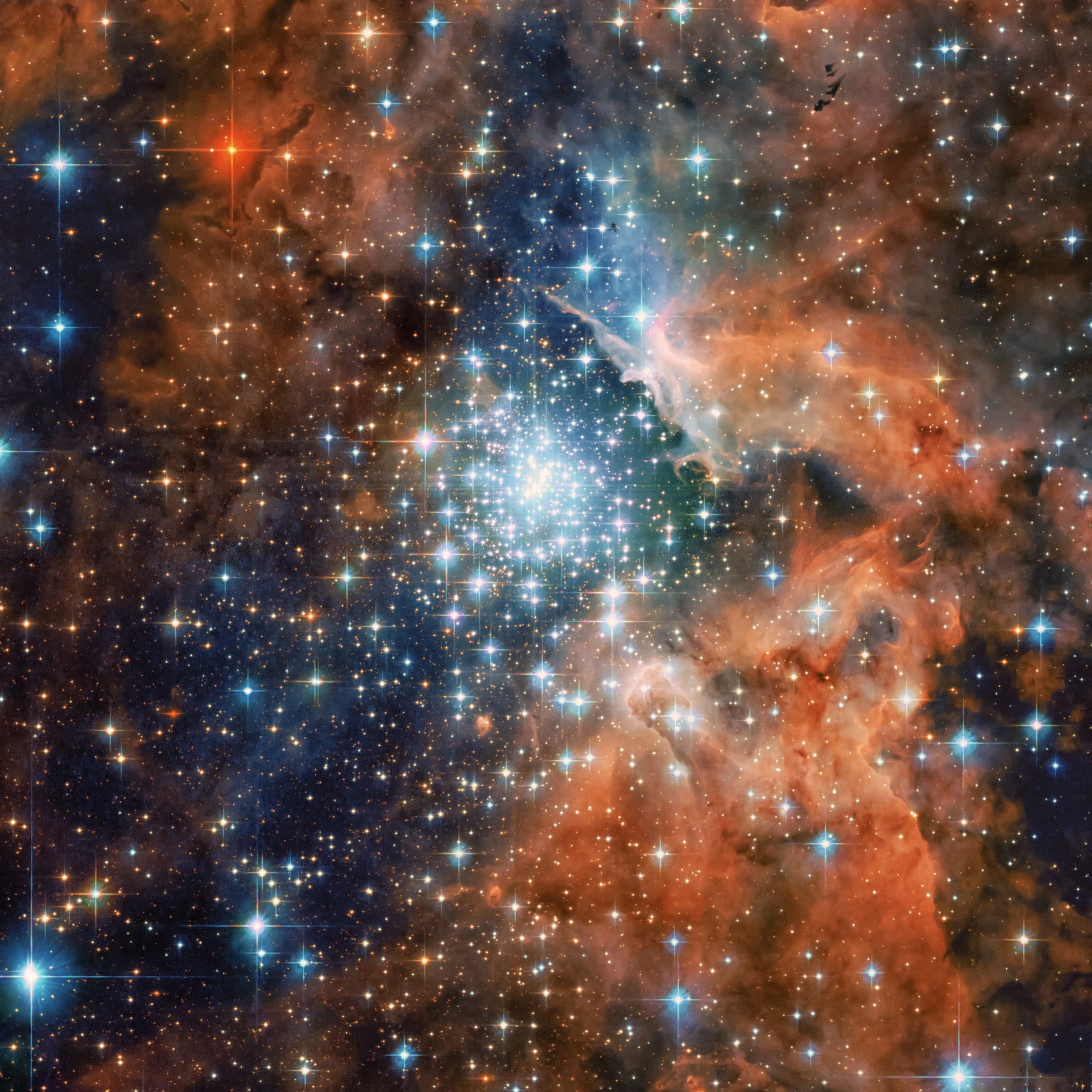 Starlight Vista Wall Mural