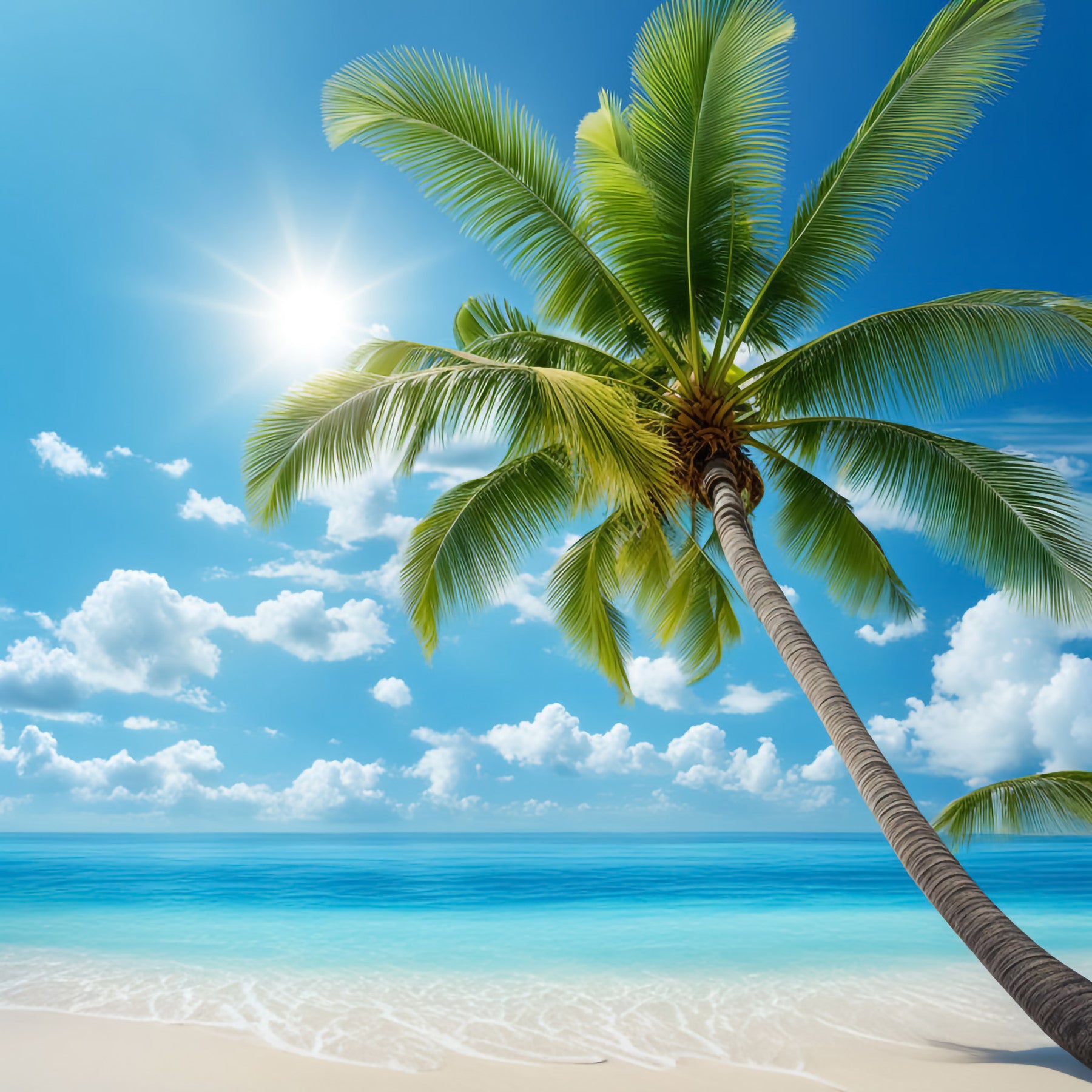 Serene Tranquil Beach Wall Mural