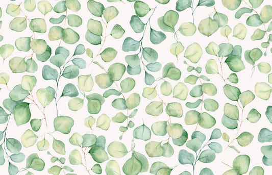Eucalyptus Dream Garden Wallpaper⁠