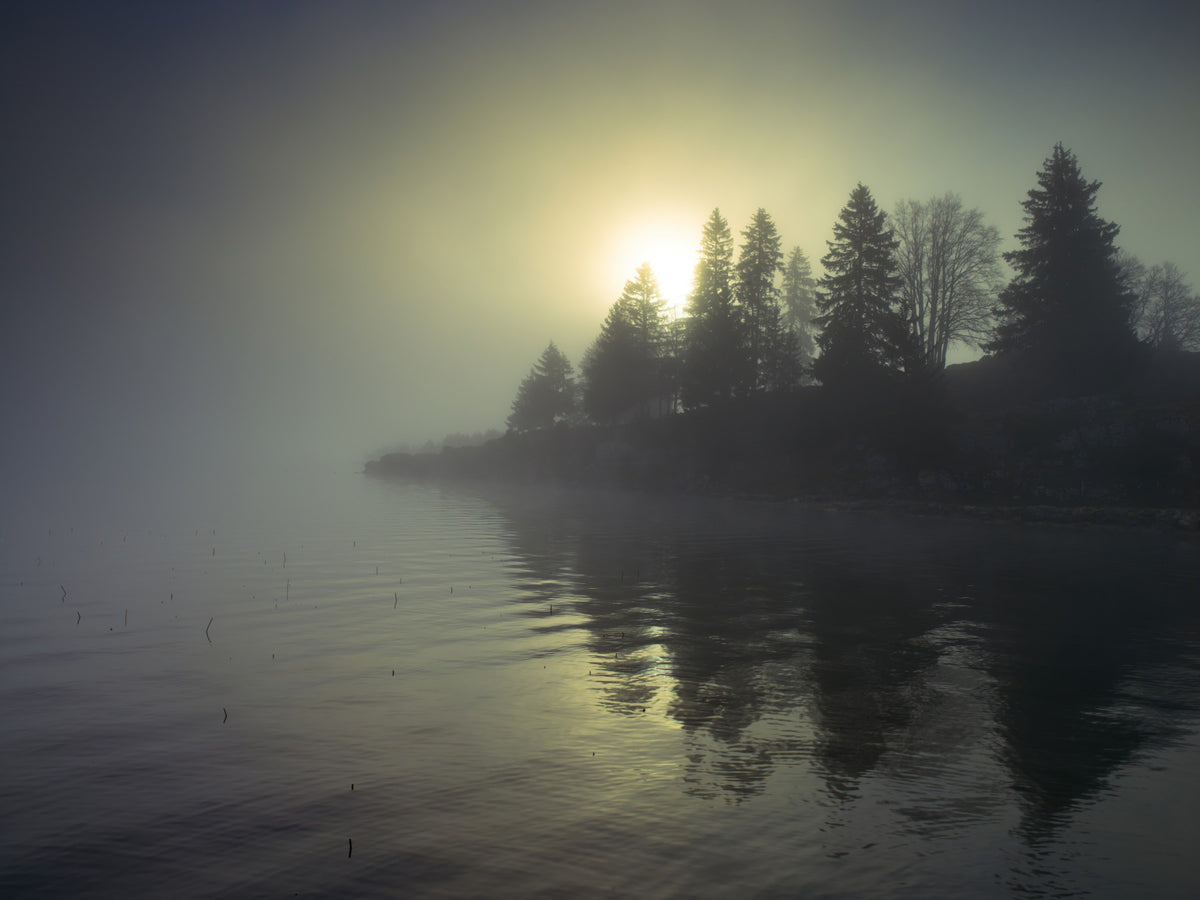 Misty Dawn Wall Mural