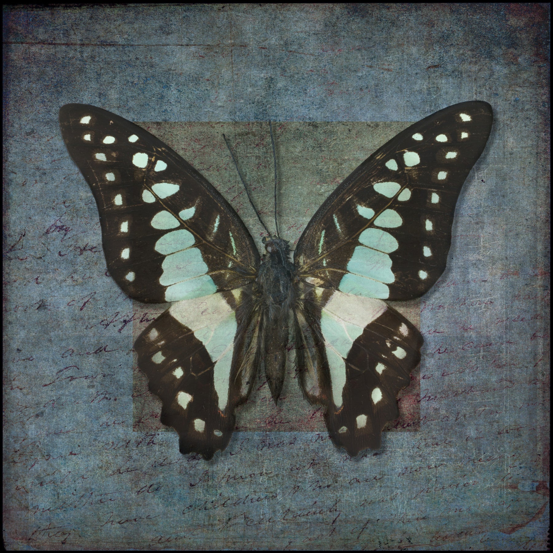 Whispering Butterfly Aura Wall Mural