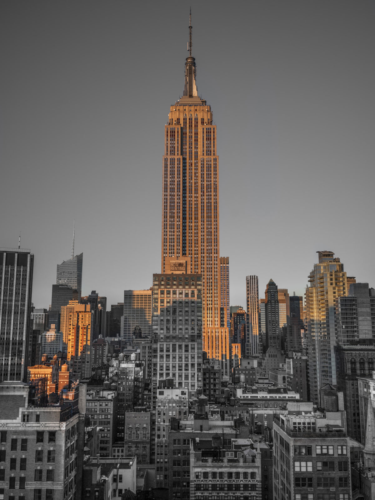 Gotham Gold Wall Mural in your room — zoomed