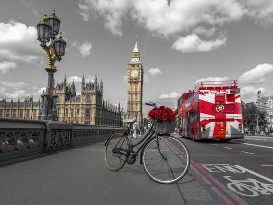 London Ride Wall Mural