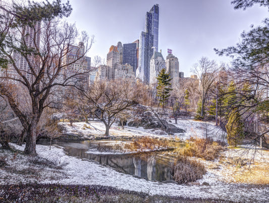 Snowy Central Park Wall Mural