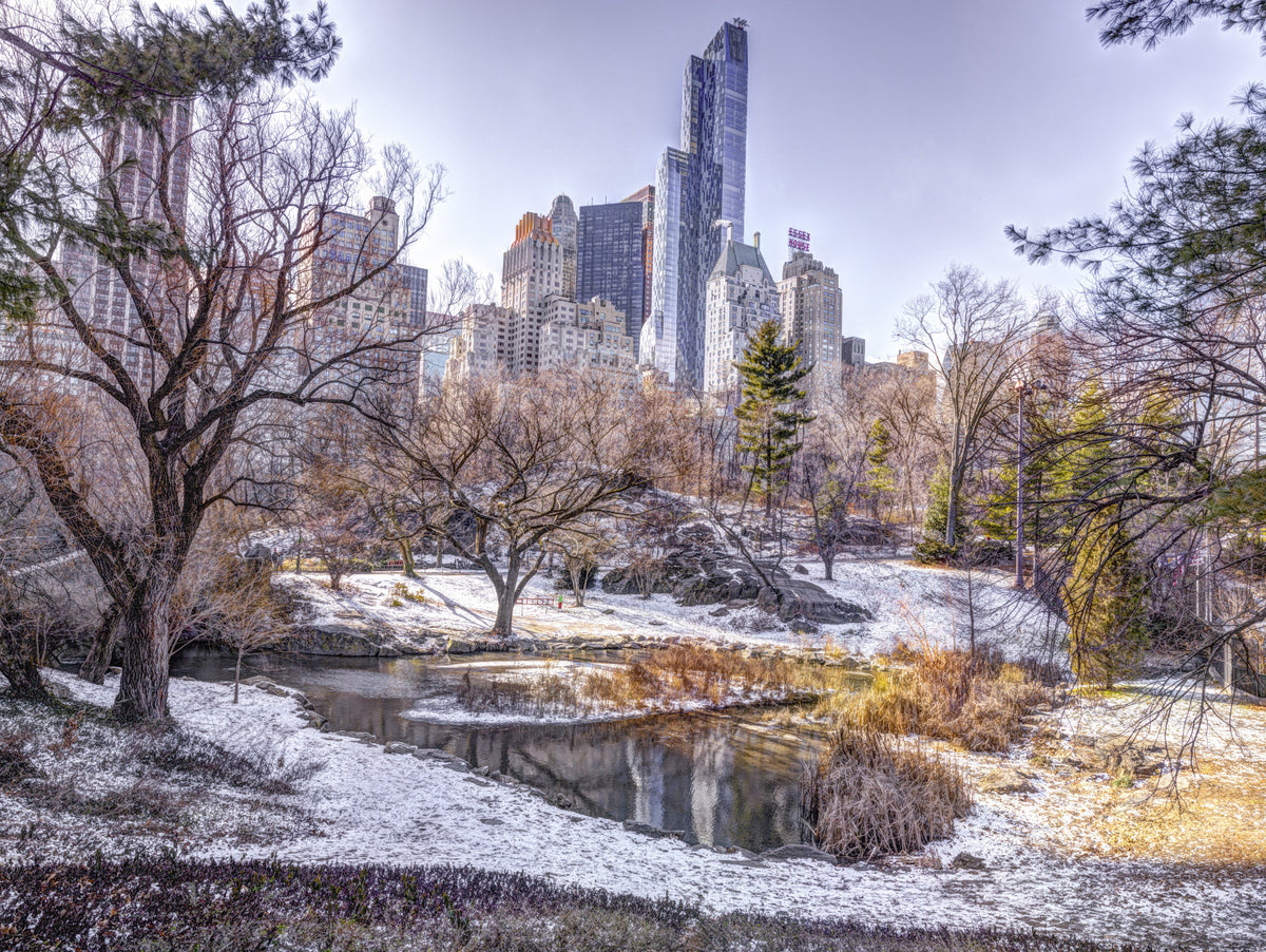Snowy Central Park Wall Mural