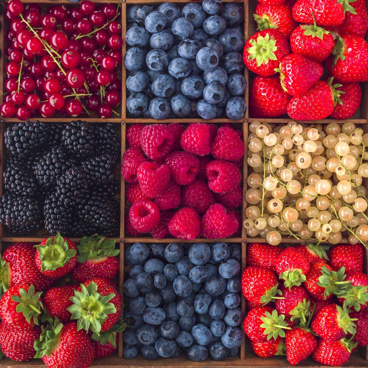 Berry Fresh Delight Wall Mural