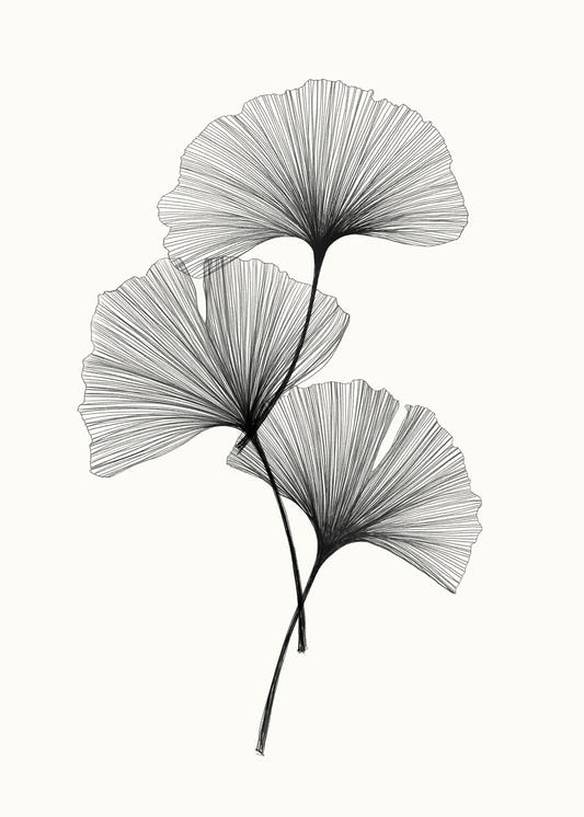 Ginkgo Line Wall Mural