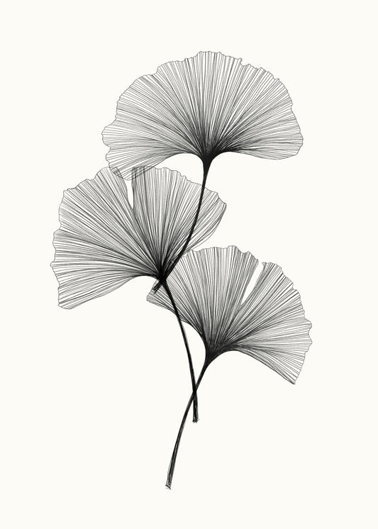 Ginkgo Line Wall Mural