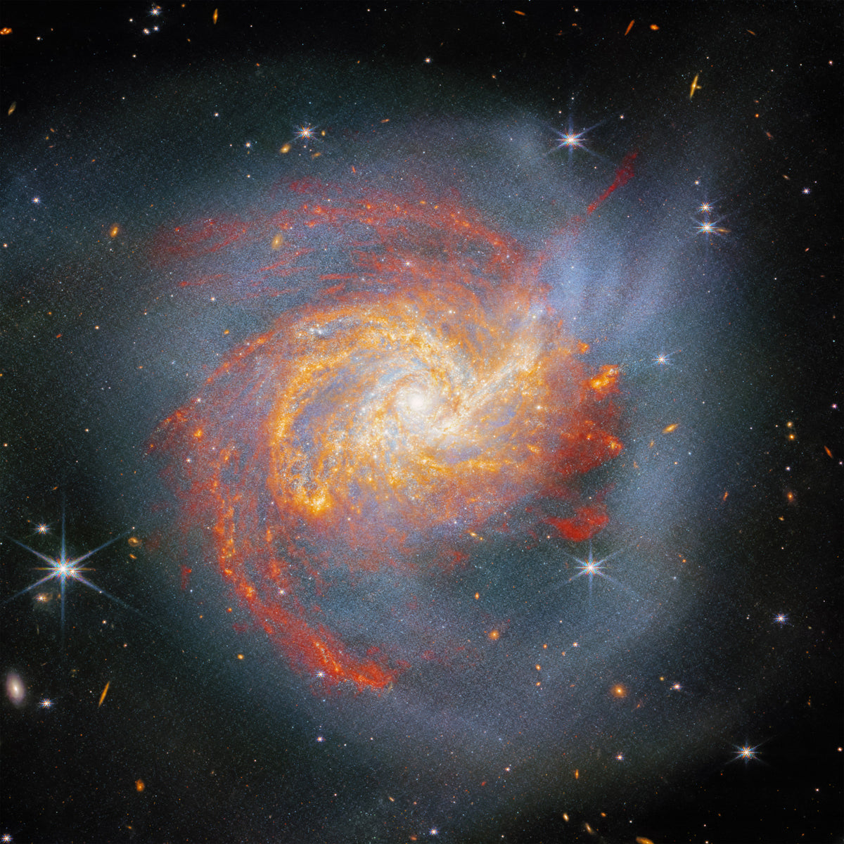 Stellar Canvas Wall Mural