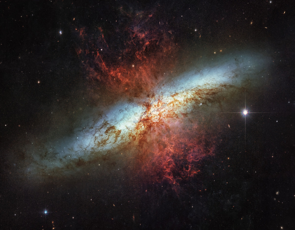 Stardust Symphony Wall Mural in your room — zoomed